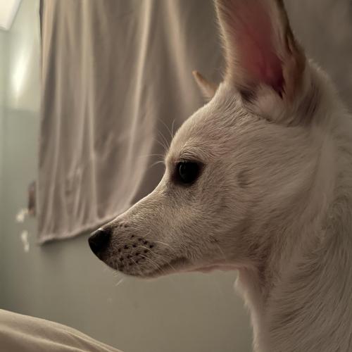 이 아이를 사랑으로 키워주실 분