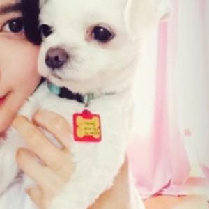 이천부평산곡동>우리 개백이를 찾아요