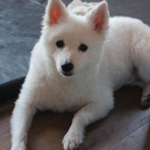 우리찡이를찾아요