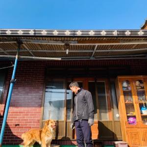 전주 반월동/리트리버&삽살개/수컷