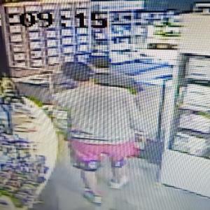 골든리트리버(루이) 삼성동,청담역 에서 아이를 데려간사람이나 제보 받습니다