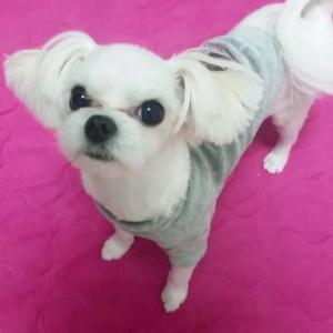 [경기도 남양주시 호평동 호만천] 하루를 찾습니다.