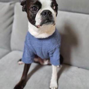 해운대구 재송동