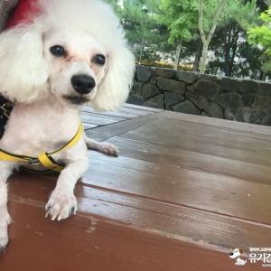 토리찾았습ㄴㅣ다ㅠ