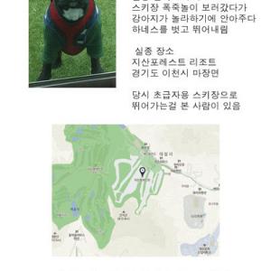 지산스키장