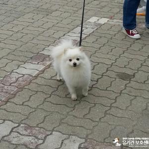 우리 네모 찾아주세요!