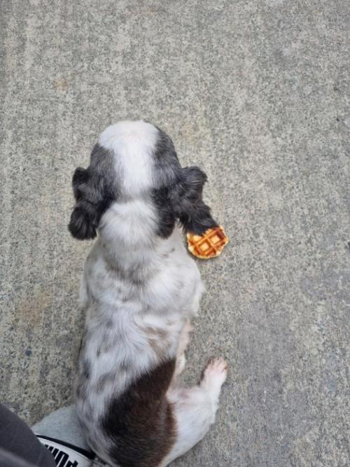 주인 찾아주세요~!!