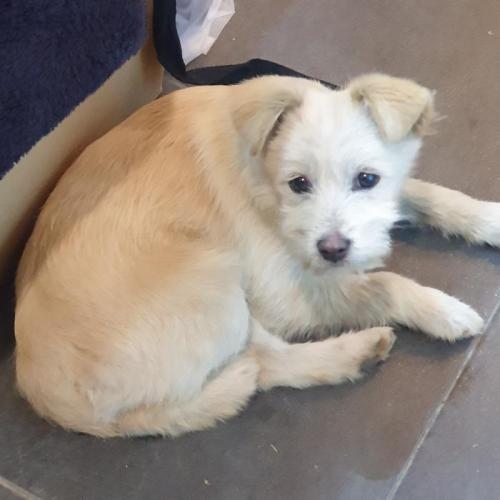 경기도 연천군 전곡 아기 보호중