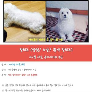 제발 좀 봐주세요