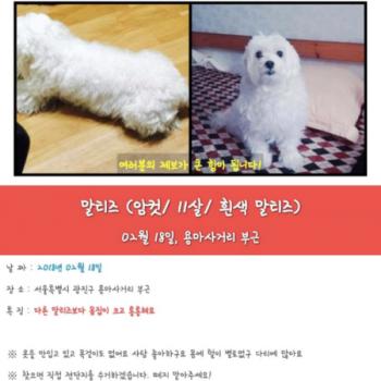 제발 좀 봐주세요