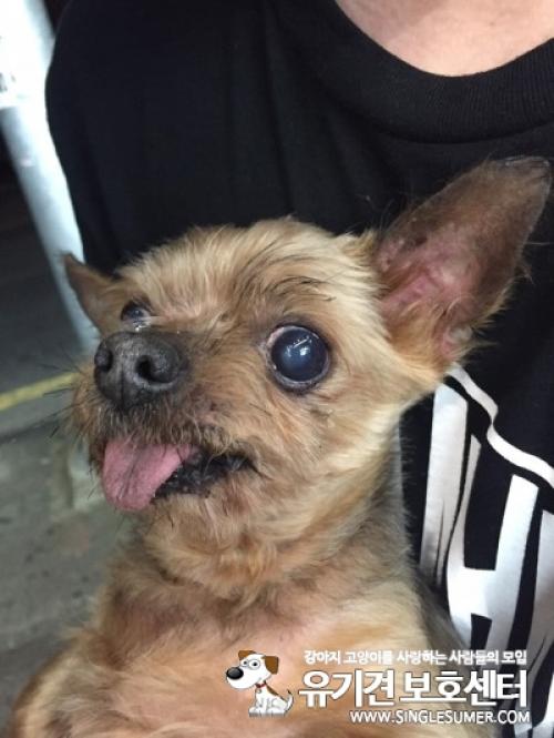 양산 요크 보호중입니다