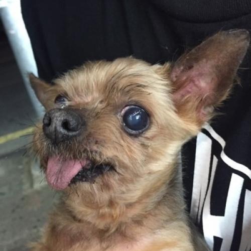 양산 요크 보호중입니다