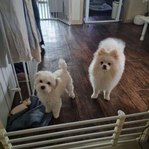 카스를 찾습니다