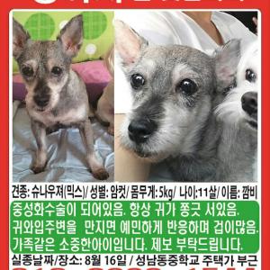 우리깜비좀 찾아주세요 ㅠㅠ