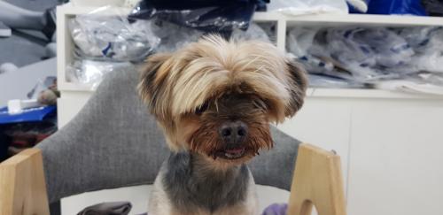 송파구문정동 동사무소근처에서 발견