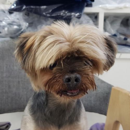 송파구문정동 동사무소근처에서 발견