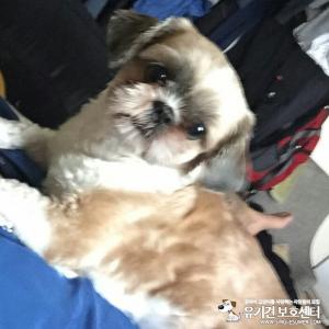 저희롤롤이를찾아주세요ㅜ