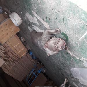 뭉치좀찾아주세요