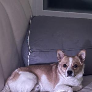 강원도 강릉시 포남동 산양큰길