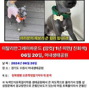 후추 찾아주세요 부탁드립니다.