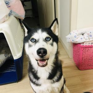 저희 볼트 찾습니다…