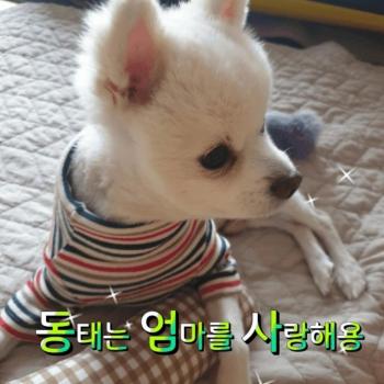 아이를 찿아요