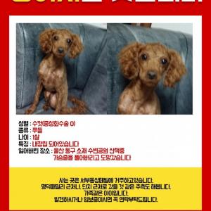 우리아이 찾아주세요