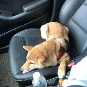 의정부시 금오동)가족을 찾습니다. 제발 도와주세요.