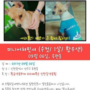 쉐리좀 찾아주세요