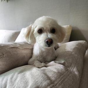 기흥