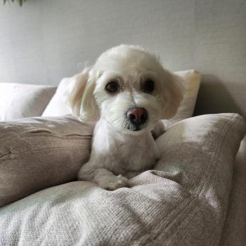 기흥