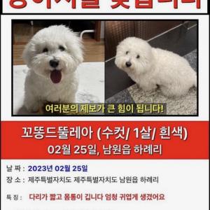 서귀포시 남원읍 하례리에서 실종