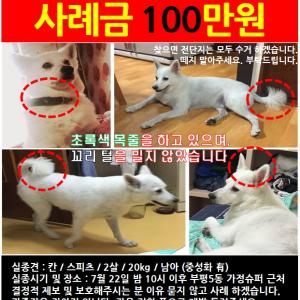 부평 / 칸을 찾습니다