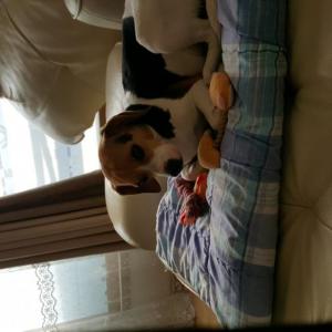 제발  찾아주세요..