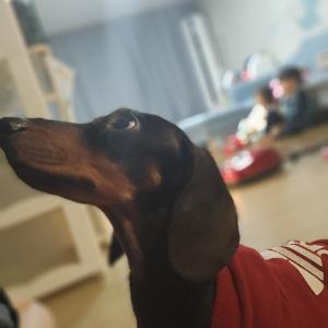 로니의 따뜻한 가족 친구가 되어주세요