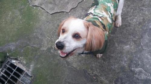 경산시 옥산동 에서 보관중입니다.