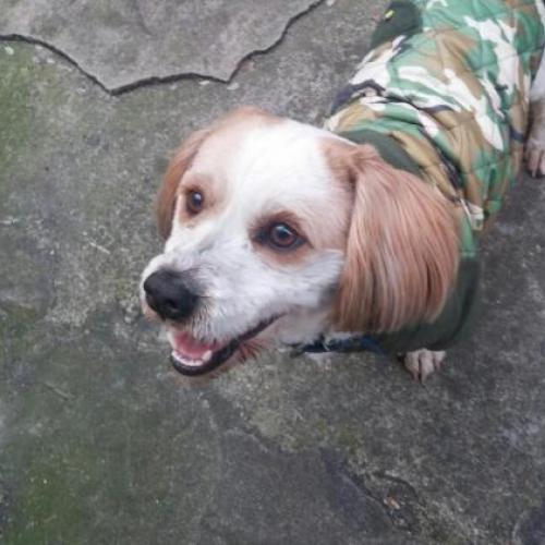 경산시 옥산동 에서 보관중입니다.