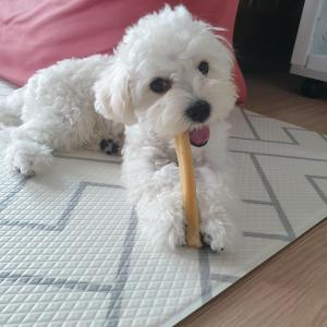 콩이릉 찾아주세요