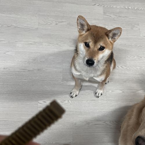 새가족을 찾습니다:)