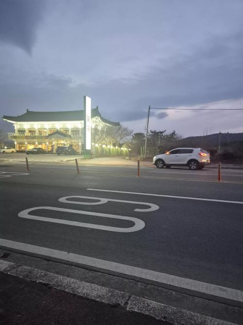 도로에서 사고나서 보호중입니다