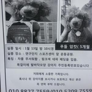 유성구 도룡동 연구단지 스포츠센터옆 운동공원