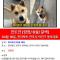 저희 강아지좀 찾아주세요 ㅠㅠ