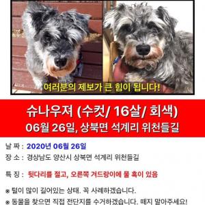 양산시 상북면 석계리 가족을 찾습니다.