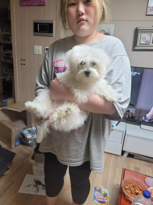 유기견 임시보호중