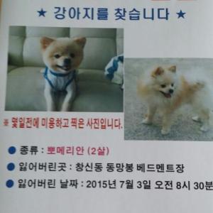 숭인동 봉망봉공원