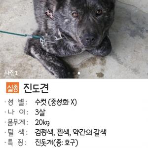 영동 박달산