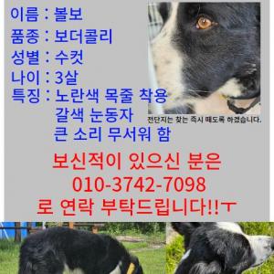 제발 한번만 보고 찾아주세요...