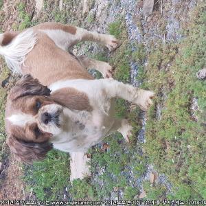 추석연휴라타지역으로갈확률이커요