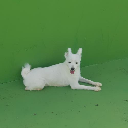 새가족 구합니다