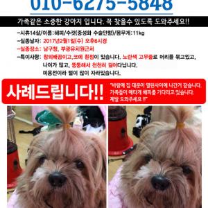 인천남구숭의동